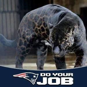 Meet your Posher, Hoodadeuce